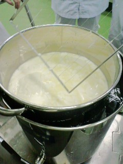 090604_1301~01.jpg