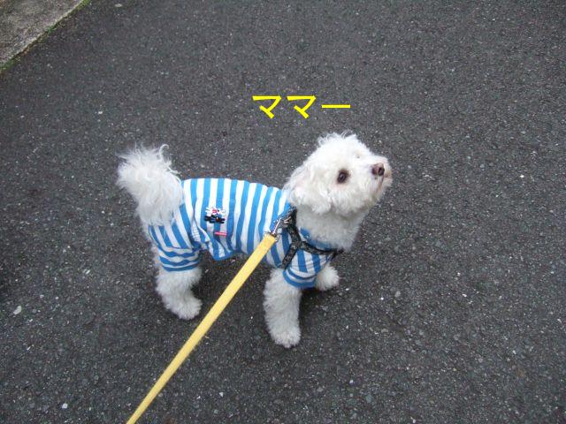 ママ恋しや・・・