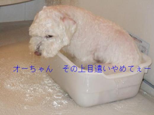 DSCF2426_400.jpg