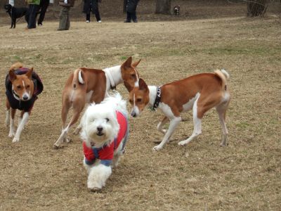 ズングリが目立っちゃうー