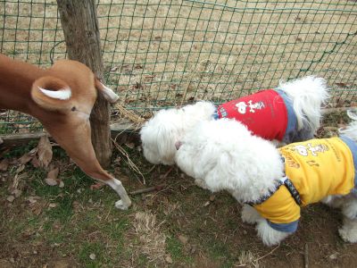 これこれ、何を見つめてるんじゃ?