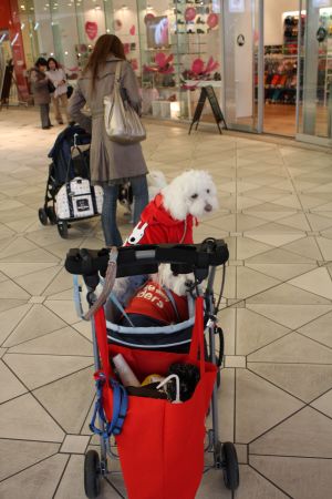 _2009_01_26_1227_450.jpg