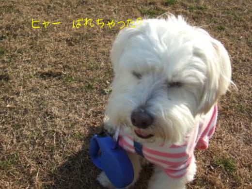 顔がクマゴローだよ!!