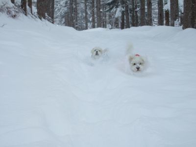 雪中RUN !!