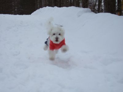 雪の上を走る!!