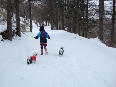 雪の中を行く