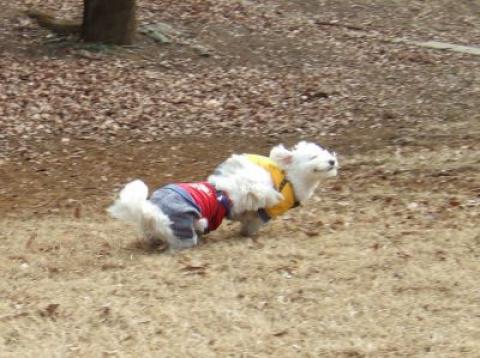 んー・・・・　爽快 !!