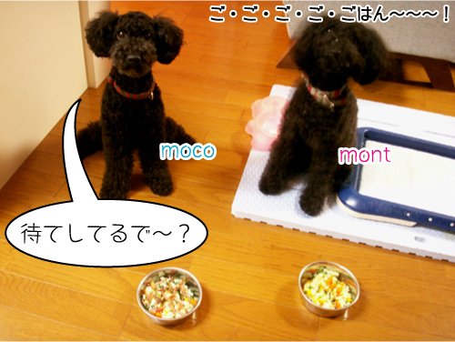 PICT0090 のコピー.jpg