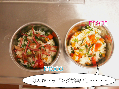 PICT0084 のコピー.jpg