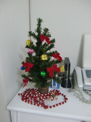 クリスマス２００９　５.jpg