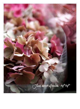 junkgarden 028.jpg