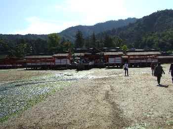 宮島厳島神社.jpg