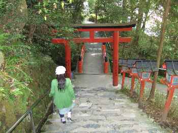 貴船神社帰り階段.jpg