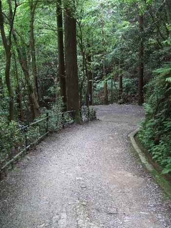 鞍馬寺九十九折り.jpg