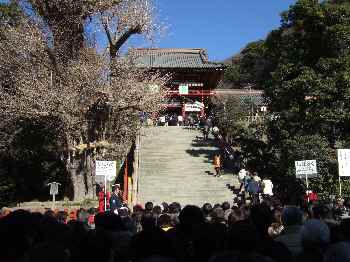 鶴岡八幡宮3.jpg