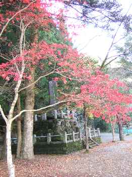 北畠氏館跡庭園.jpg