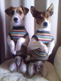 080304_0929~0001.jpg