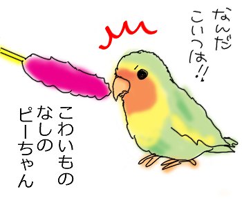 ねこじゃらし２.jpg