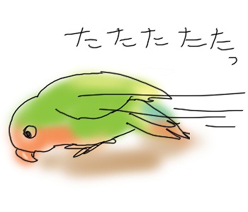 ぴーちゃんのいちにち２.jpg