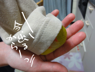 DSC00246.gif