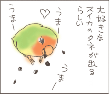 たね２.gif