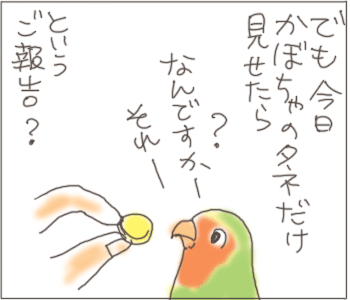 たね５.gif