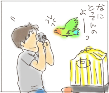 ちょうなん２.gif