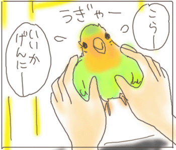 しんきょ３.gif