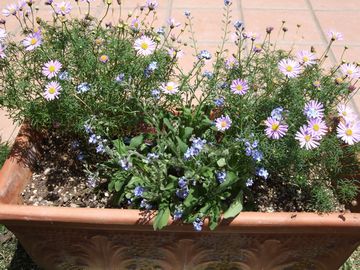 2009_0520blog0015.JPG