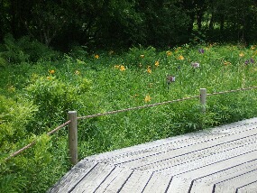 15 june 016.jpg