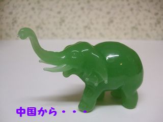 2009_0523blog0022.JPG