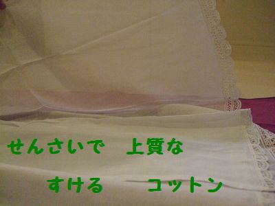 2009_0717blog0009.JPG