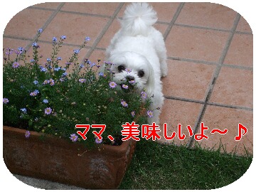 DSCF0748.jpg