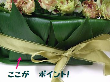 2009_0530blog0021.JPG