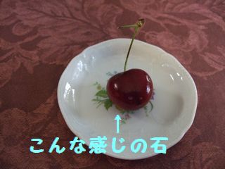 2009_0520blog0027.JPG