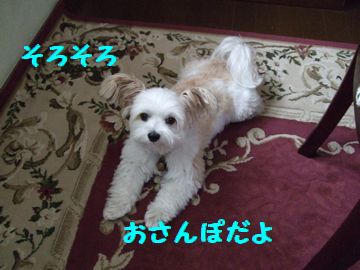 2009_0524blog0014.JPG