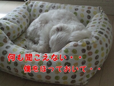 DSCF4847.jpg