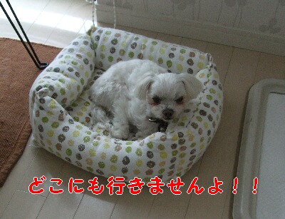 DSCF4846.jpg