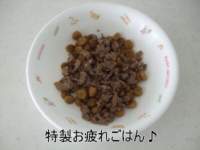 DSCF4849.jpg