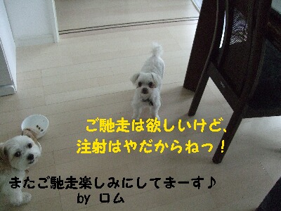 DSCF4856.jpg