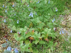 15 june 022.jpg
