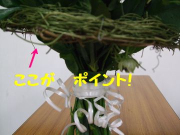 2009_0530blog0022.JPG