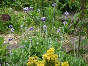 15 june 031.jpg