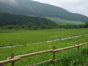 15 june 028.jpg
