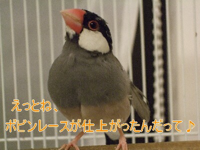 DSCF0835.jpg
