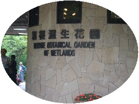 15 june 033.jpg