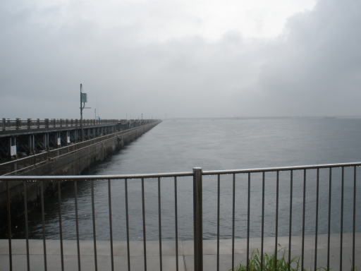 P6220152.JPG