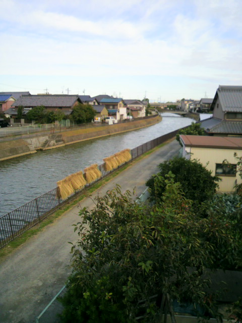 P1000472.JPG