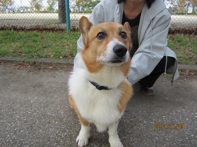 IMG_0400　日記サイズ.jpg
