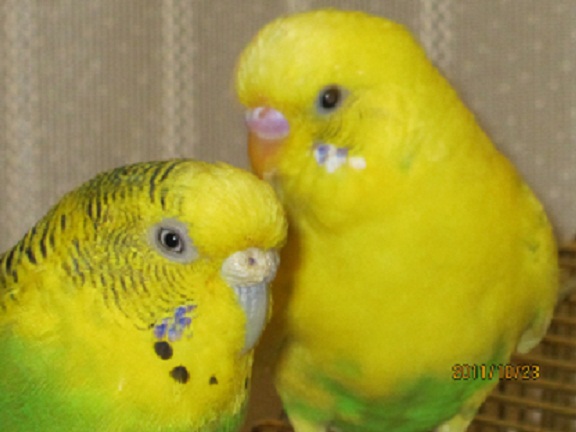 IMG_0039 日記サイズ.jpg